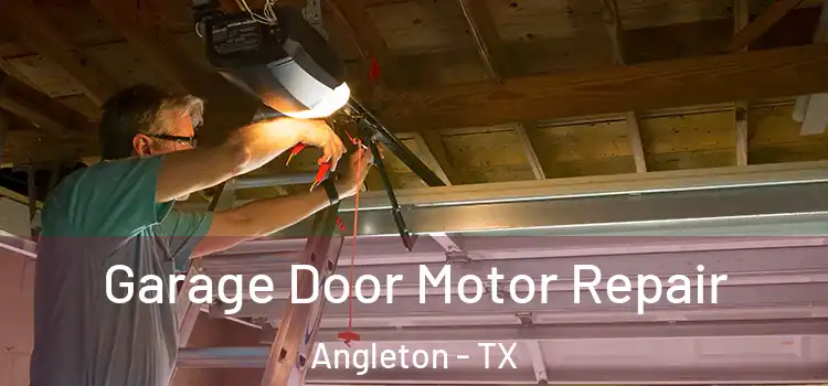  Garage Door Motor Repair Angleton - TX