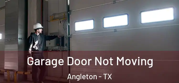  Garage Door Not Moving Angleton - TX