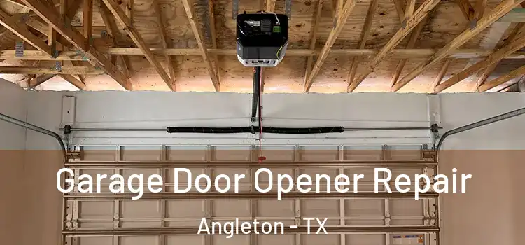 Garage Door Opener Repair Angleton - TX