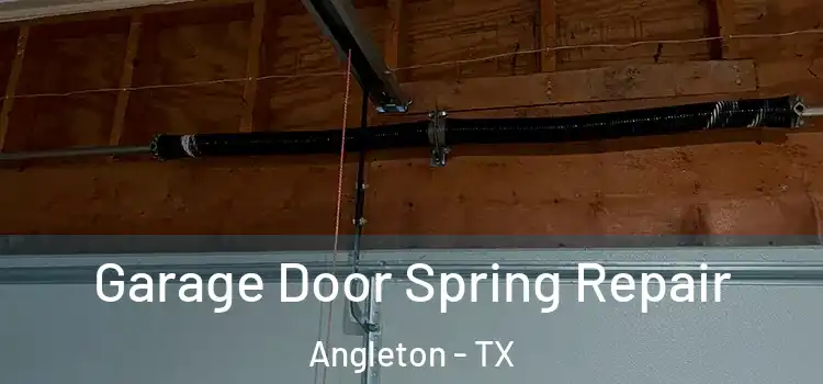  Garage Door Spring Repair Angleton - TX