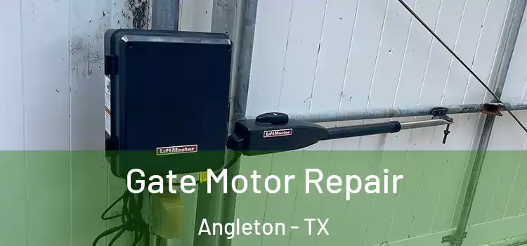  Gate Motor Repair Angleton - TX